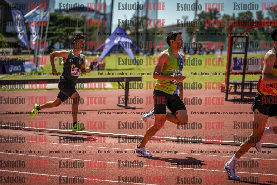 Fotos de los 800 m llanos de varones
