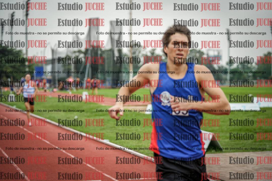 Fotos de los 800 m llanos de varones