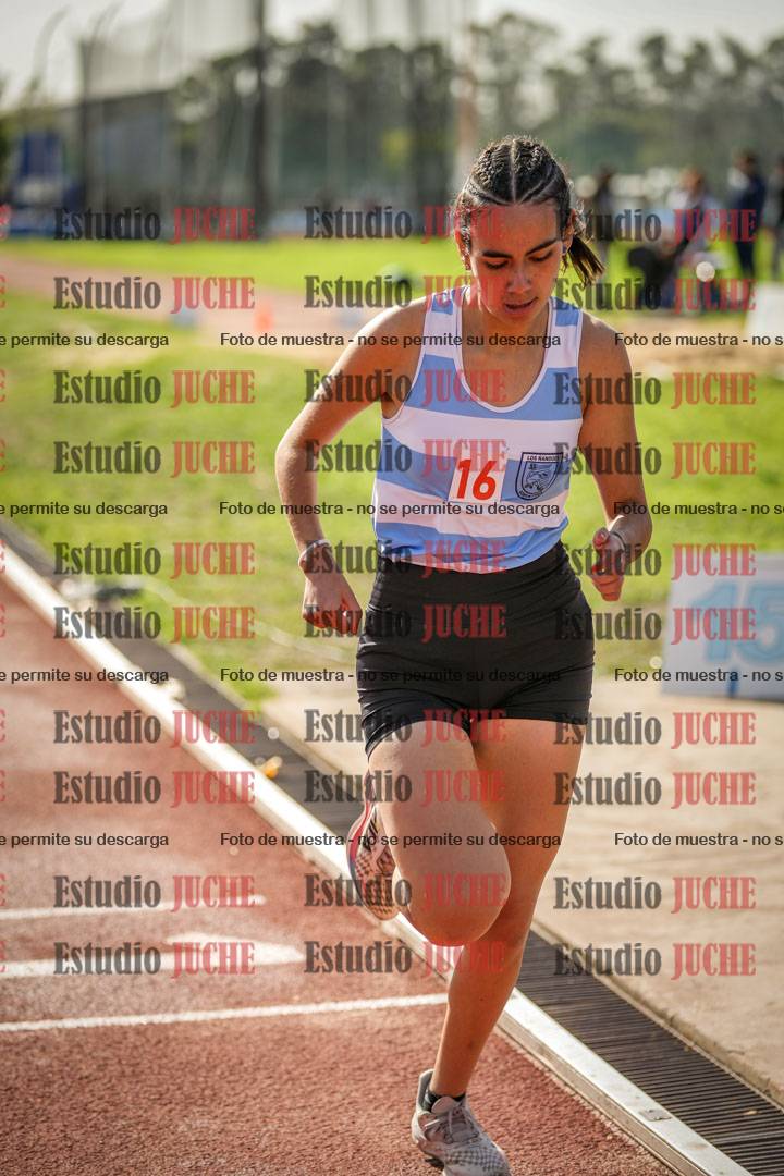 Fotos de los 800 m llanos de mujeres