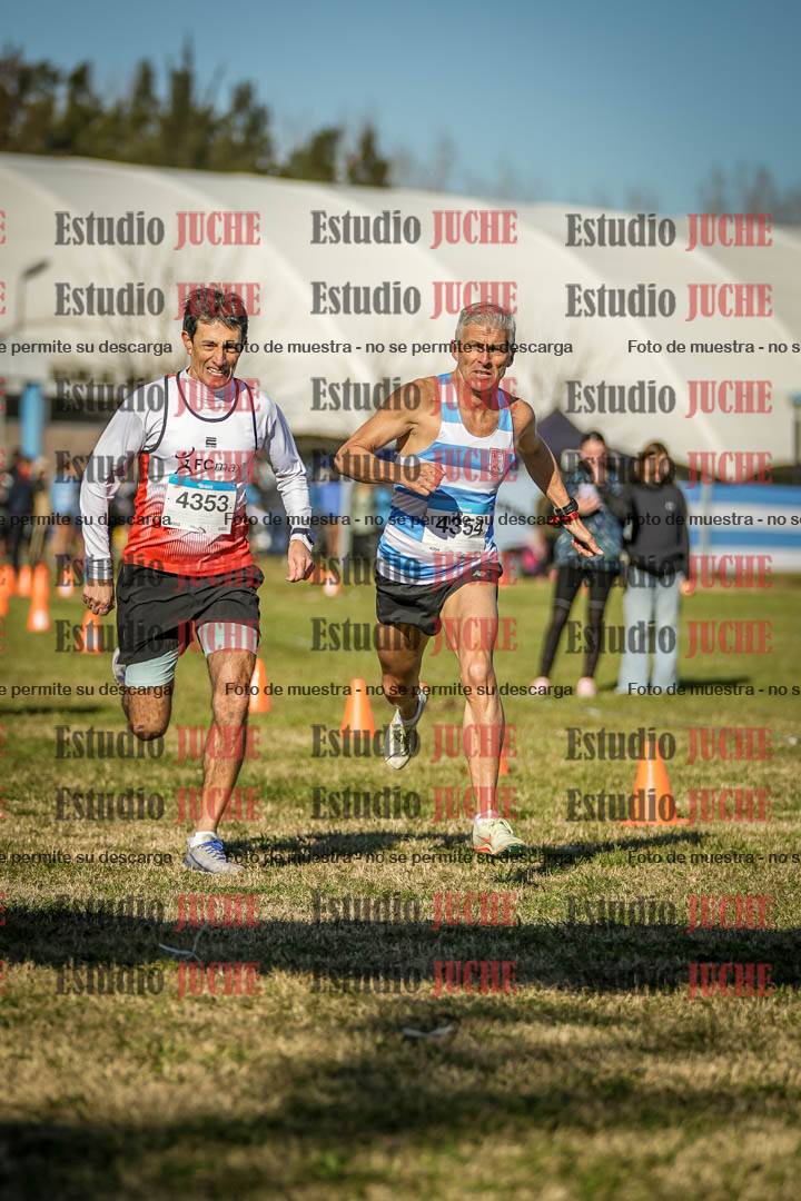 Fotos de las llegadas