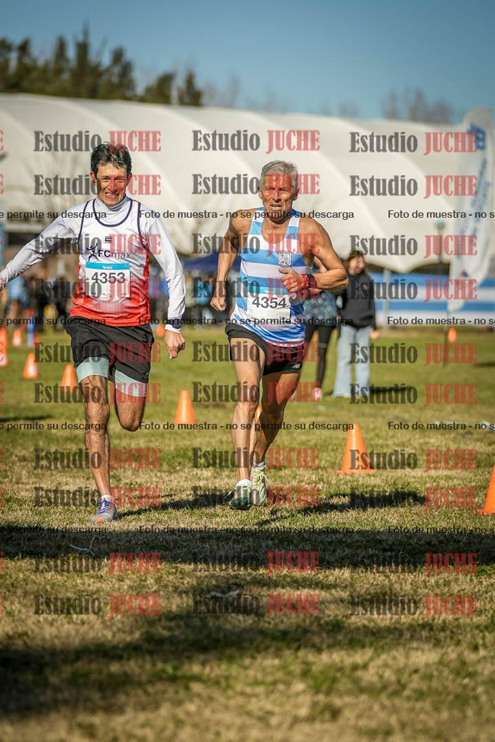 Fotos de las llegadas
