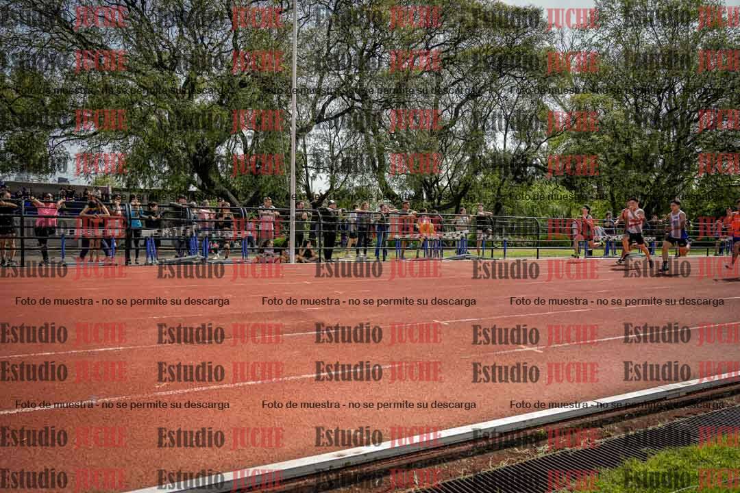 Fotos de los 100 m de varones