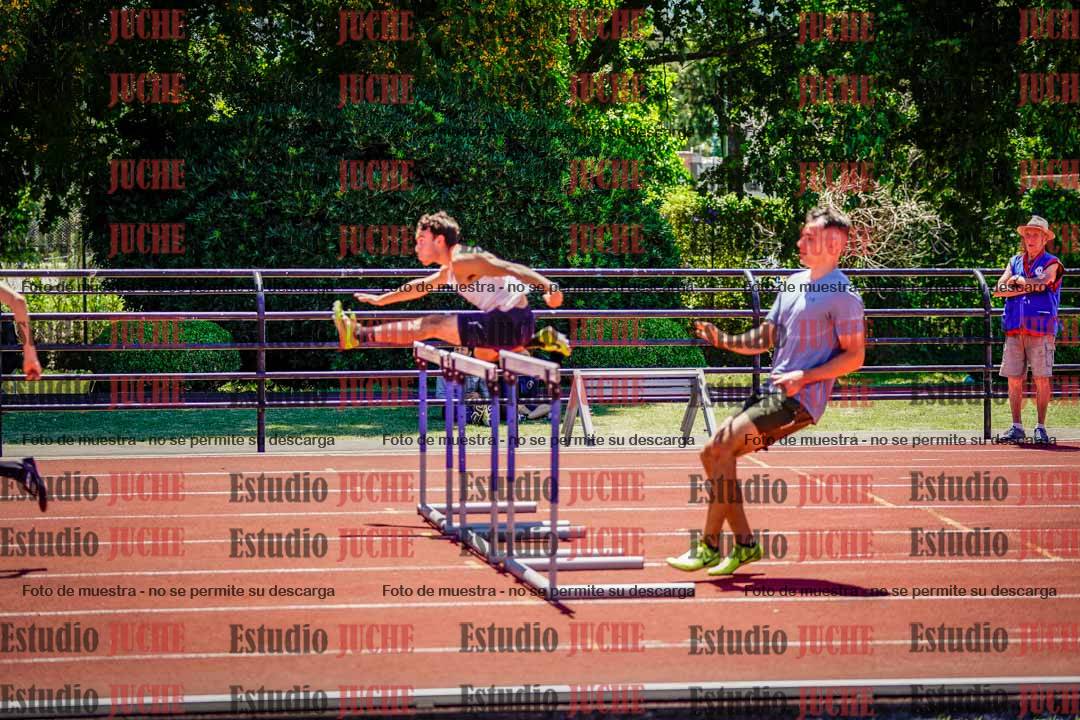 Fotos de los 110 m con vallas de varones