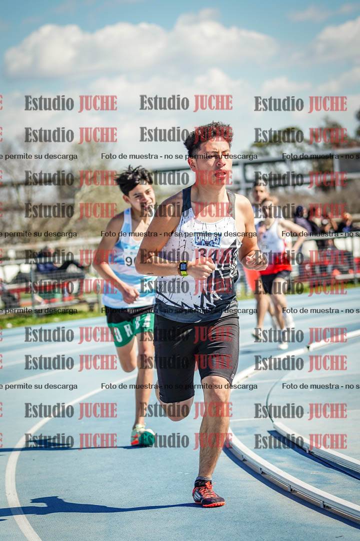 Fotos de los 800 m llanos de varones