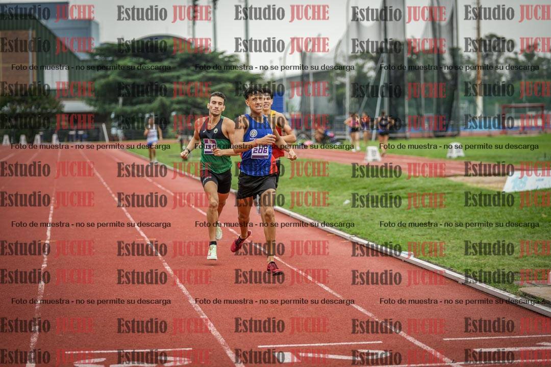 Fotos de los 800 m llanos de varones