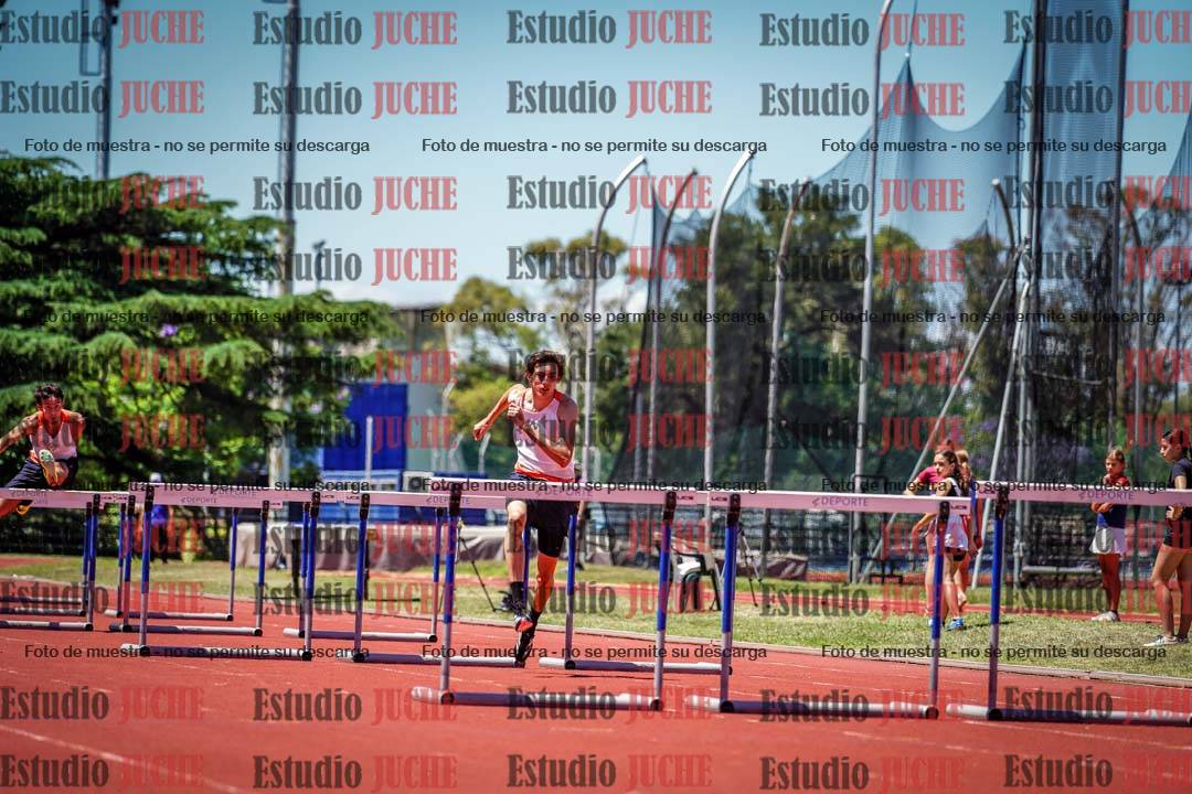 Fotos de los 110 m con vallas de varones