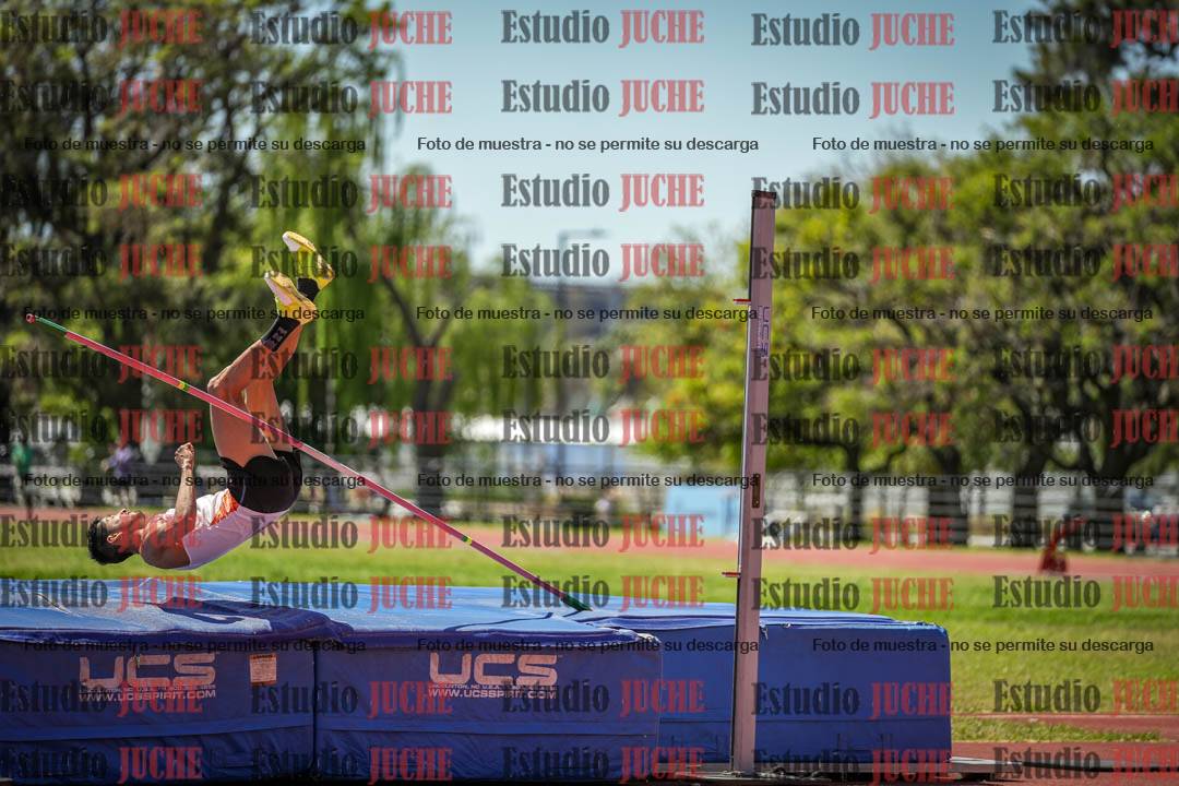 Fotos del salto en alto de varones