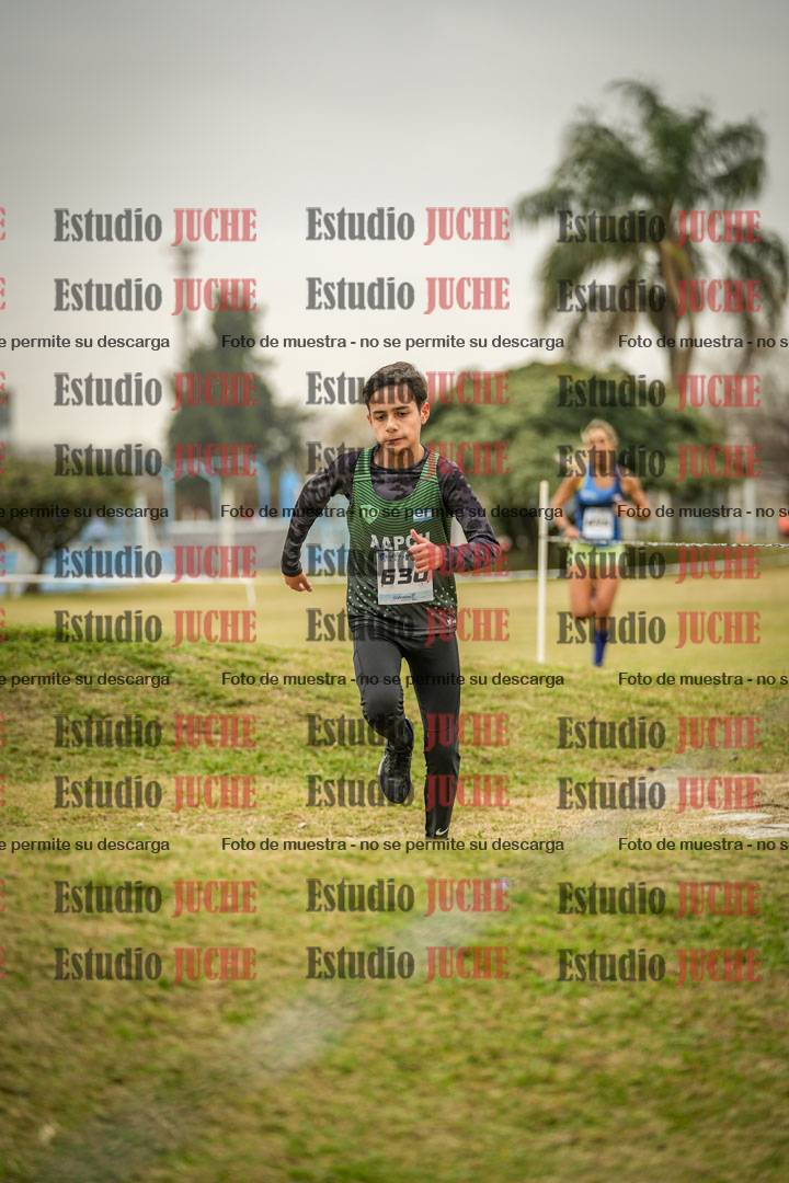 Fotos en el circuito