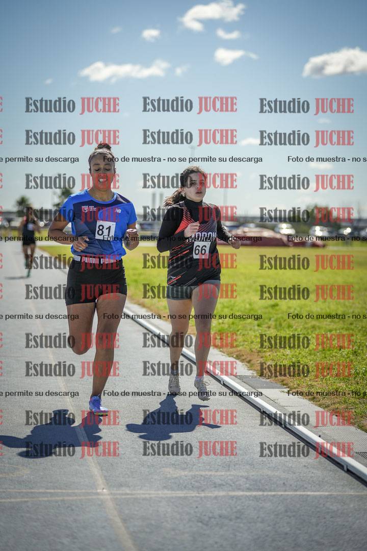 Fotos de los 800 m llanos de mujeres