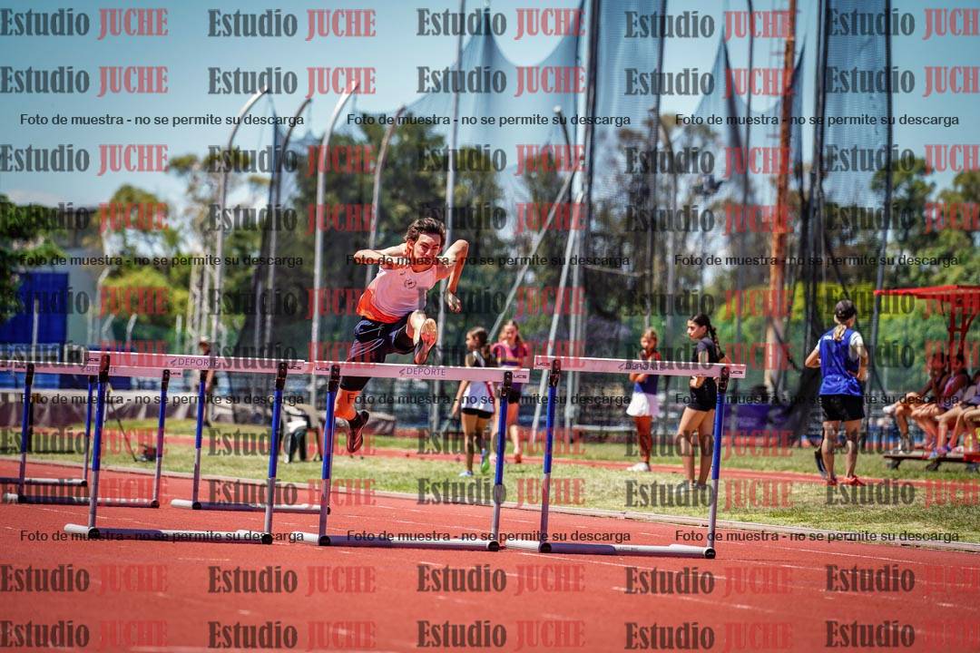 Fotos de los 110 m con vallas de varones