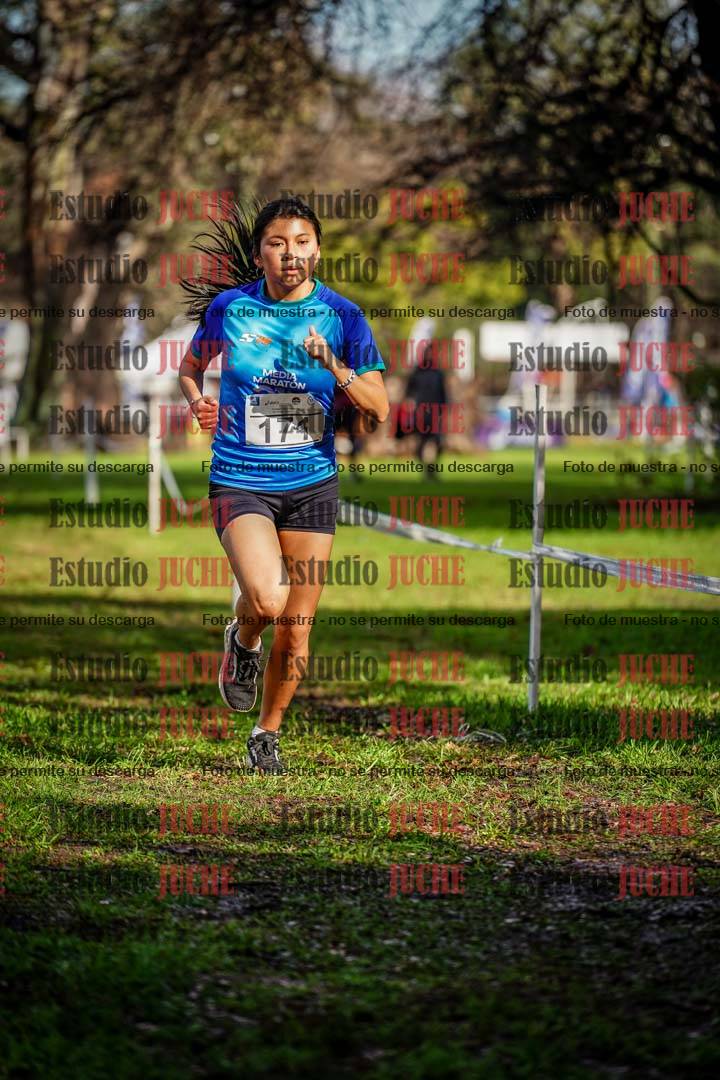 Fotos en el circuito