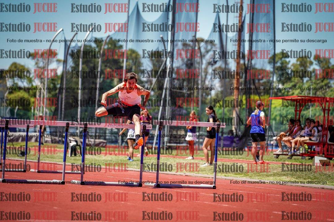 Fotos de los 110 m con vallas de varones