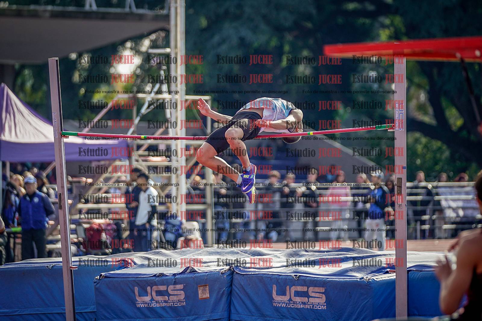 Fotos del salto en alto de varones