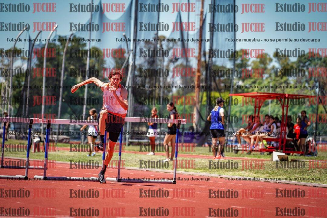 Fotos de los 110 m con vallas de varones
