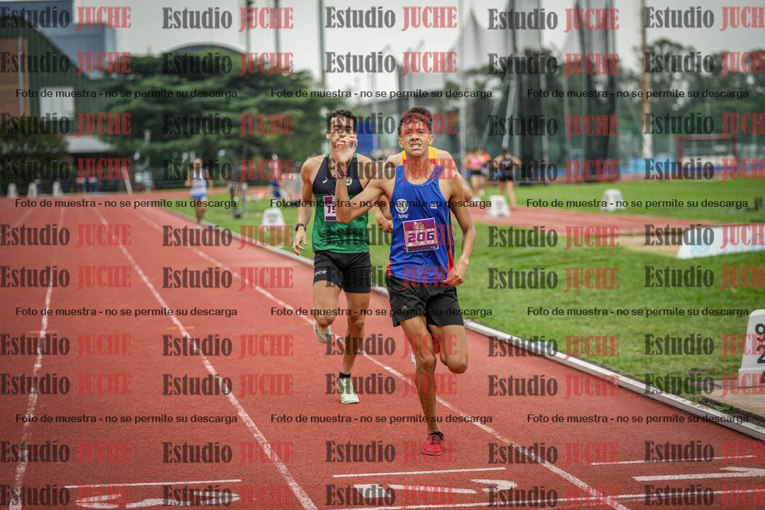 Fotos de los 800 m llanos de varones