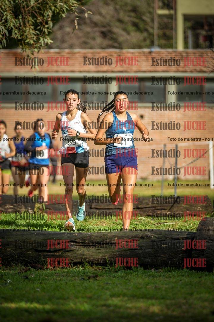 Fotos en el circuito