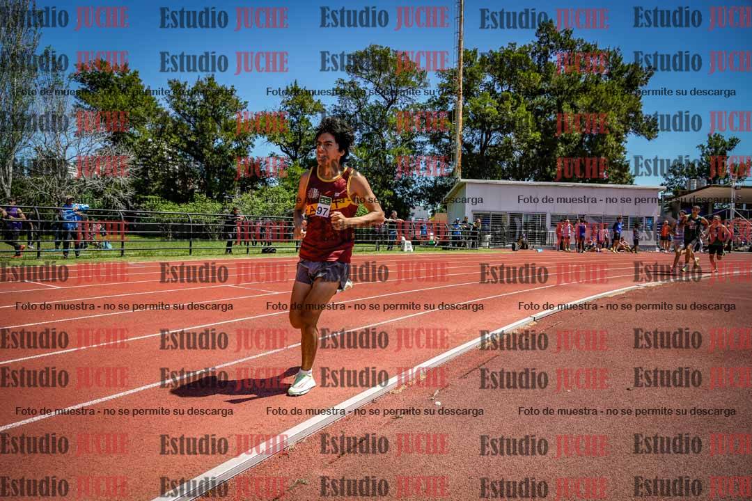 Fotos de los 800 m llanos de varones