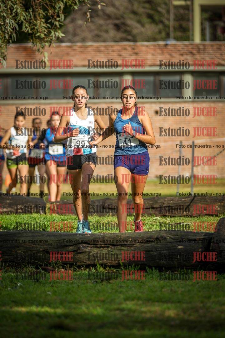 Fotos en el circuito