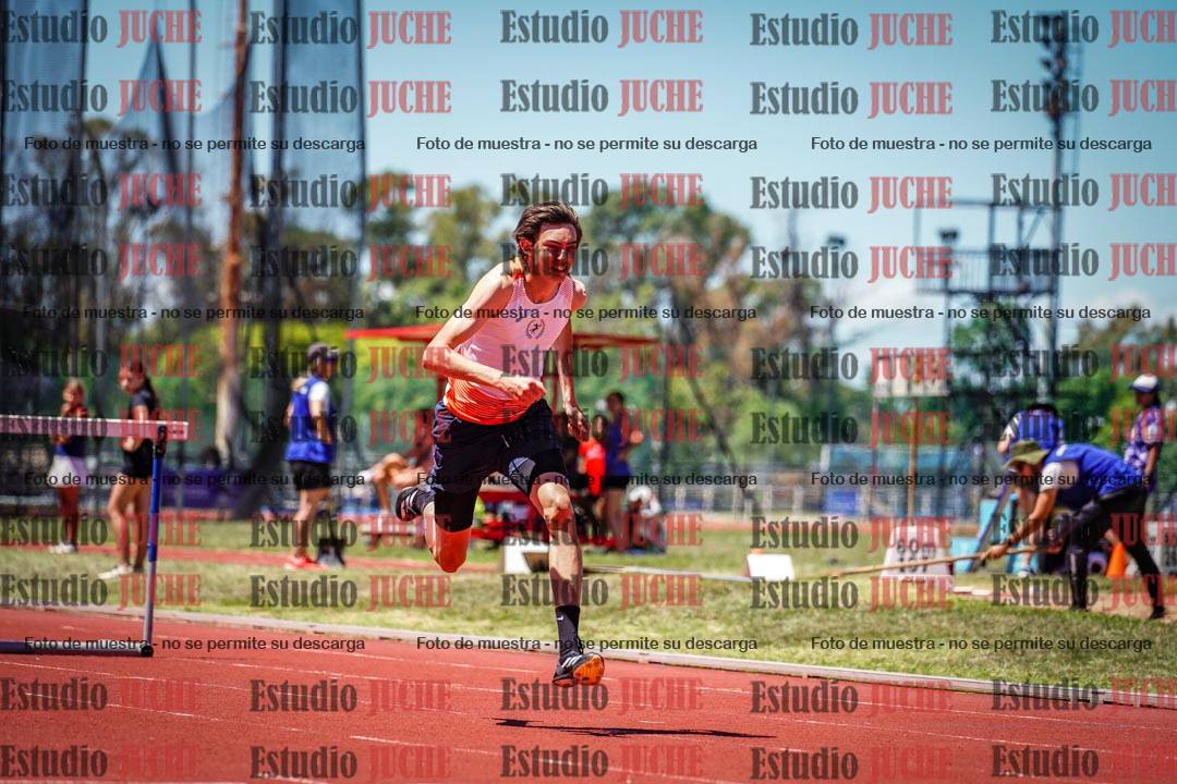 Fotos de los 110 m con vallas de varones