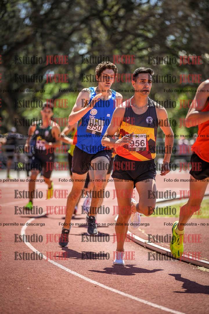 Fotos de los 800 m llanos de varones