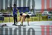 Fotos de los 100 m llanos de mujeres