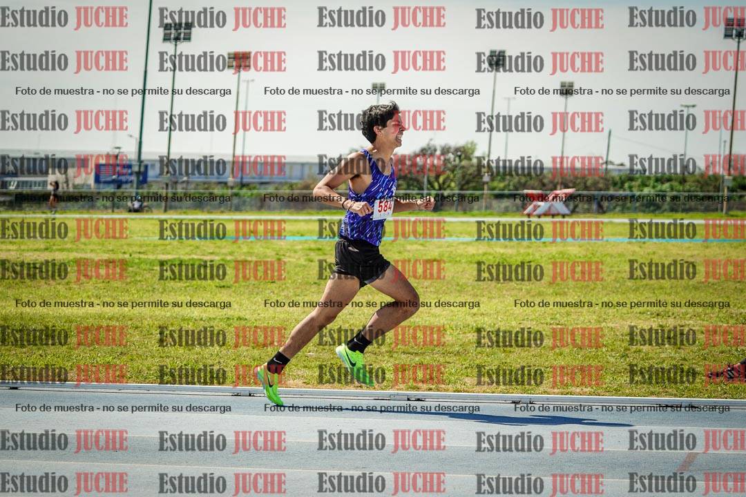 Fotos de los 800 m llanos de varones