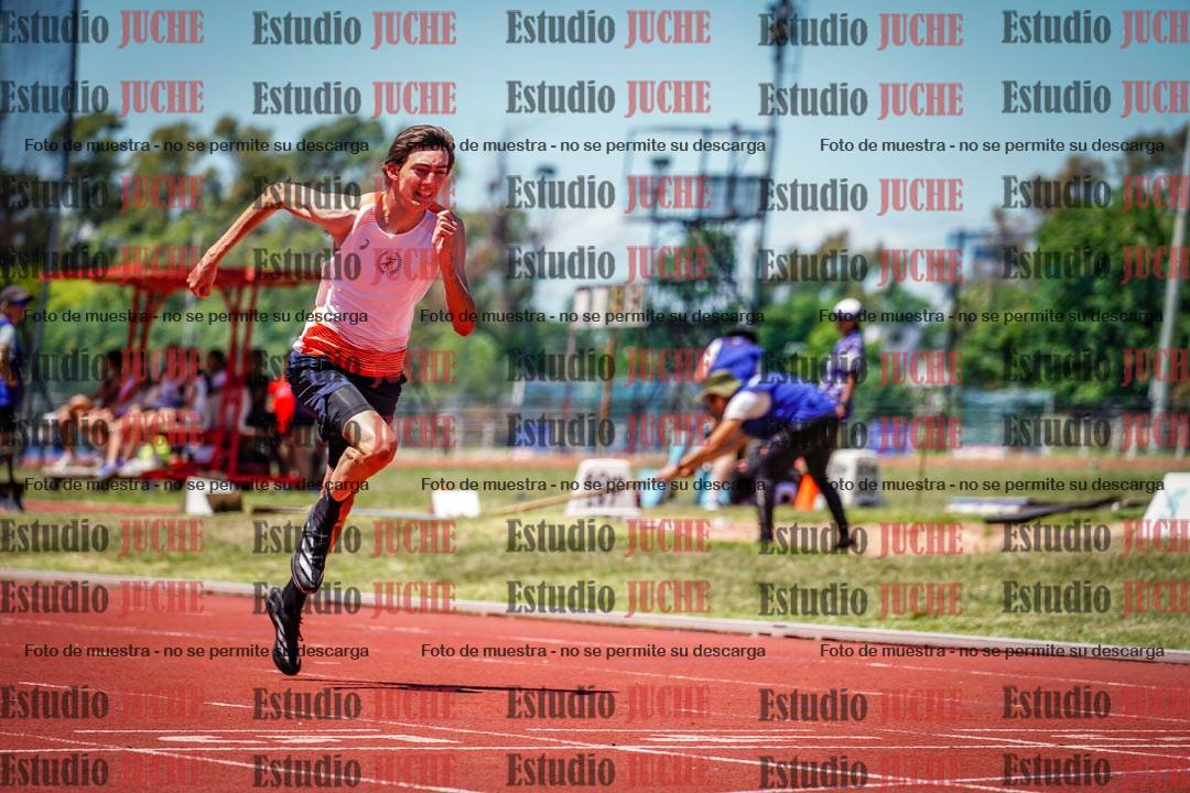 Fotos de los 110 m con vallas de varones