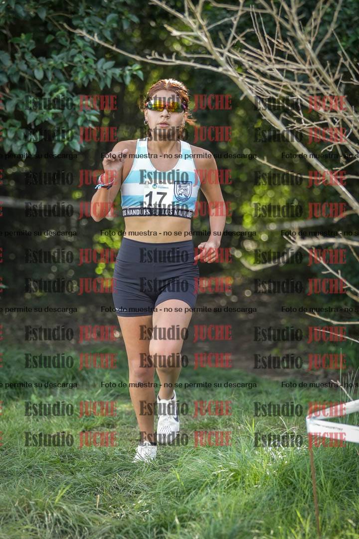 Fotos en el circuito