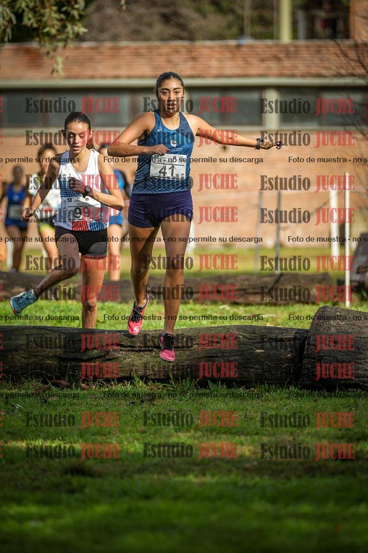 Fotos en el circuito