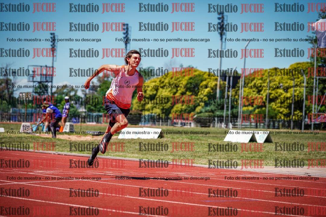 Fotos de los 110 m con vallas de varones