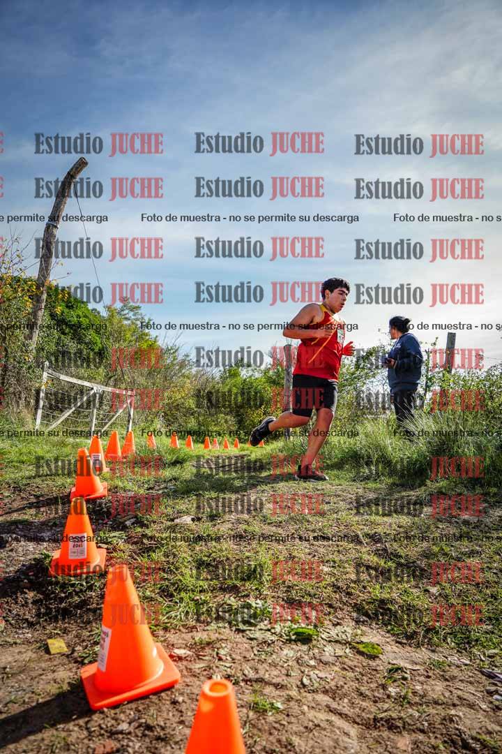Fotos en el circuito