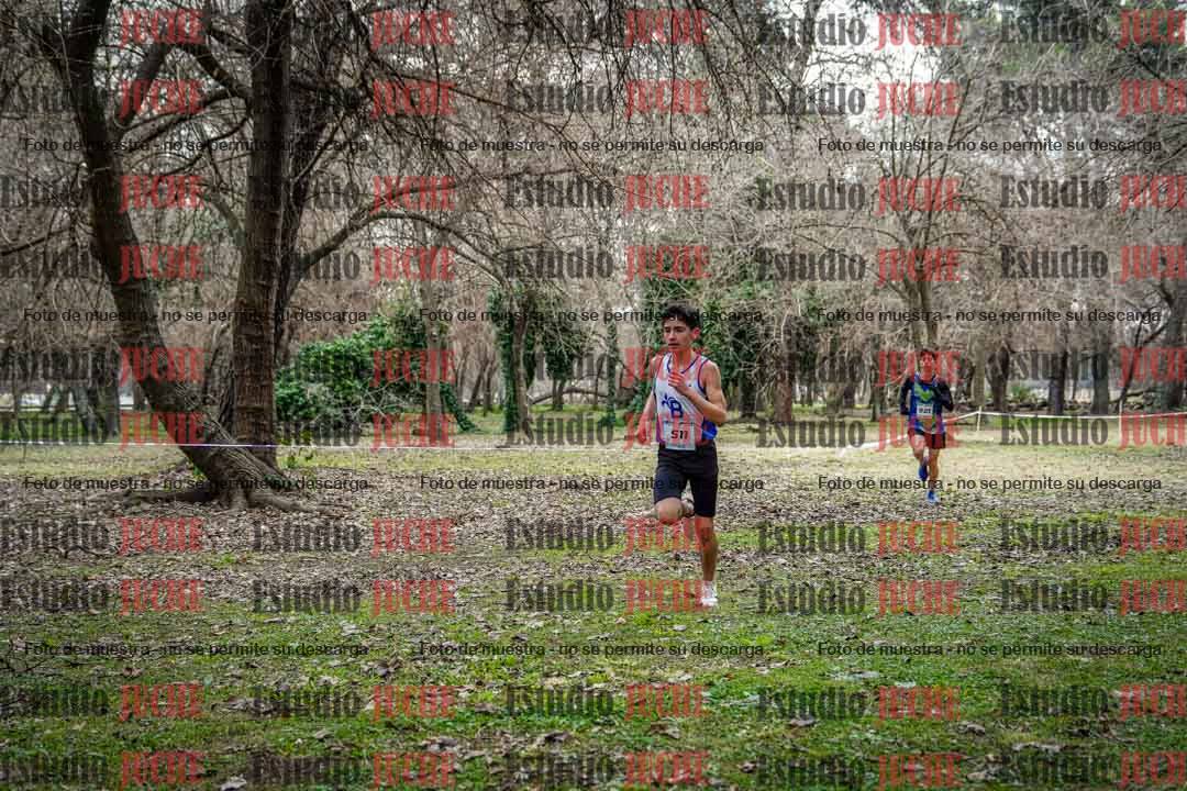 Fotos en el circuito