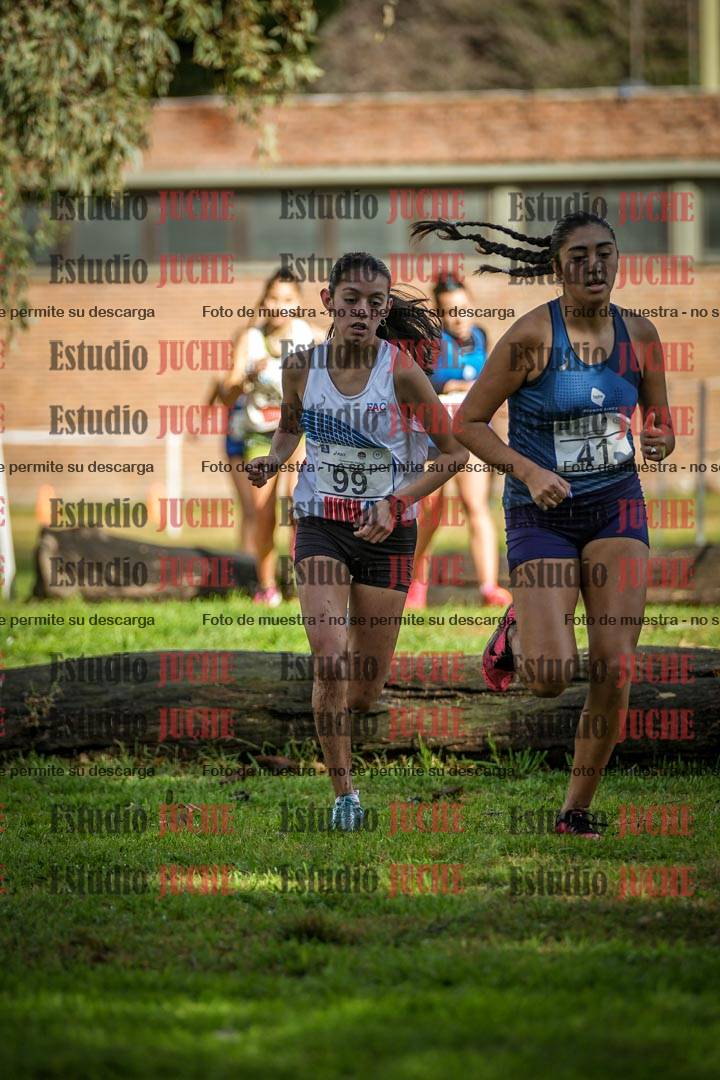 Fotos en el circuito