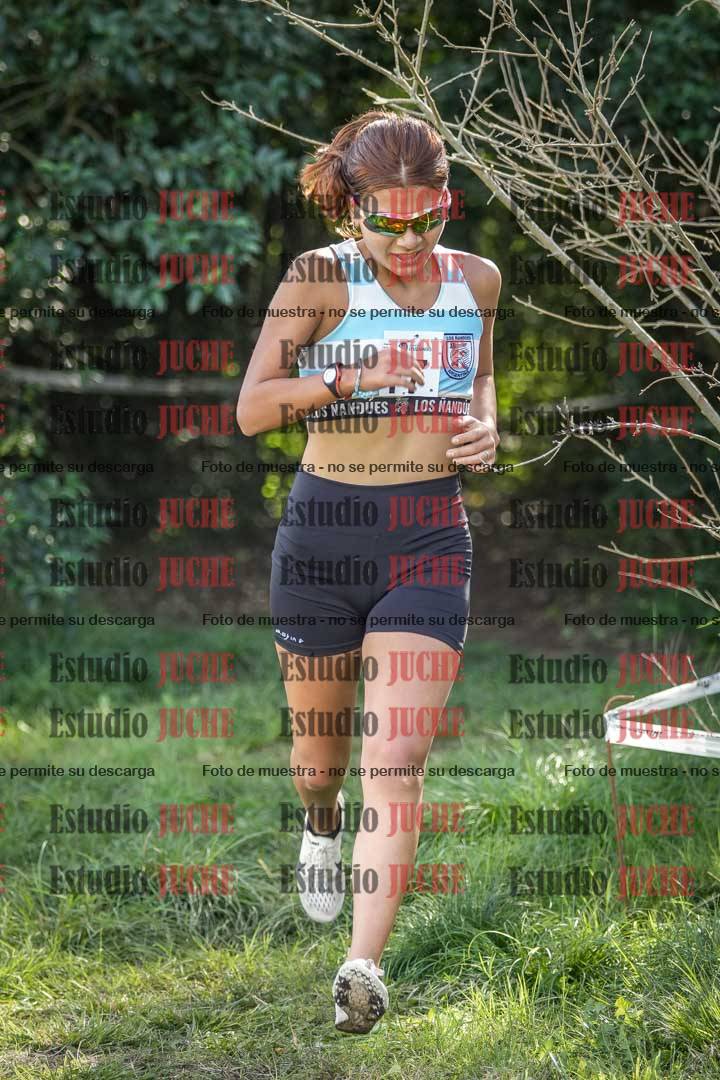 Fotos en el circuito