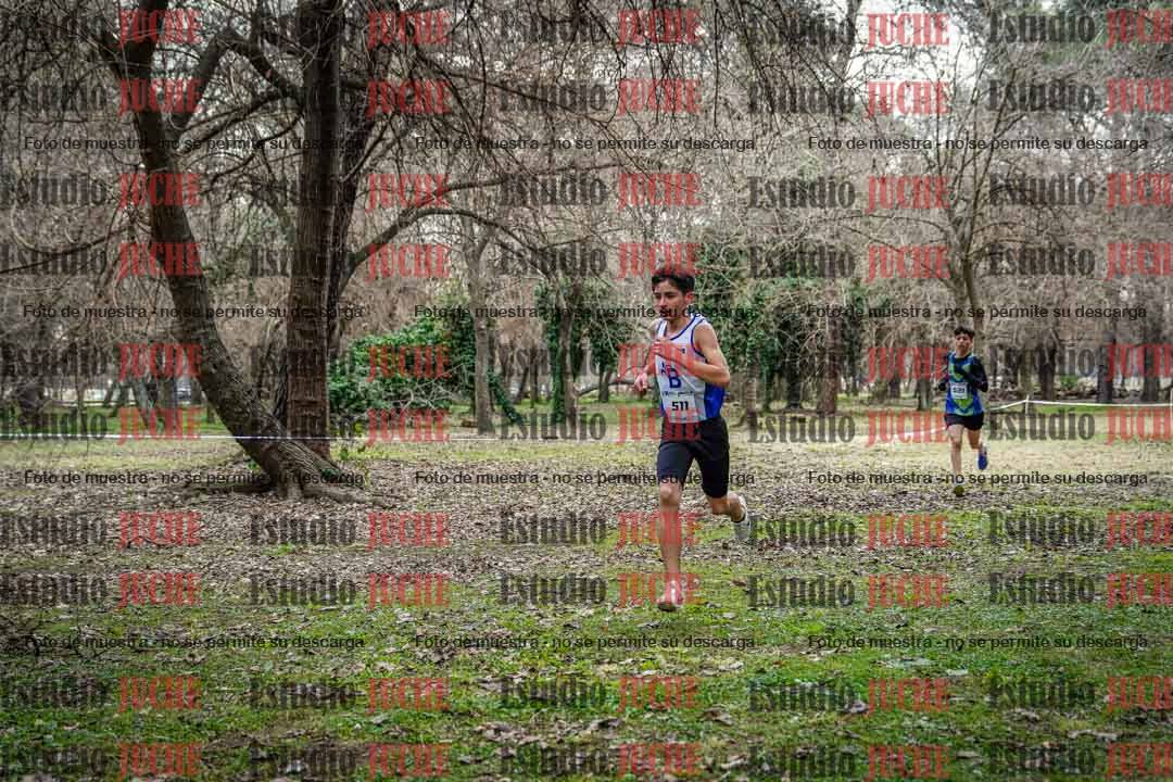 Fotos en el circuito