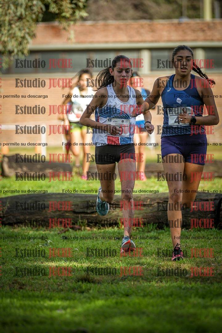 Fotos en el circuito