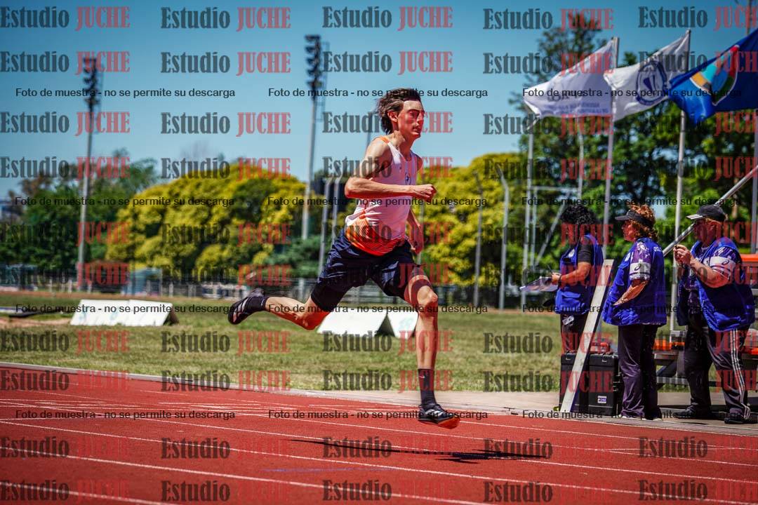 Fotos de los 110 m con vallas de varones
