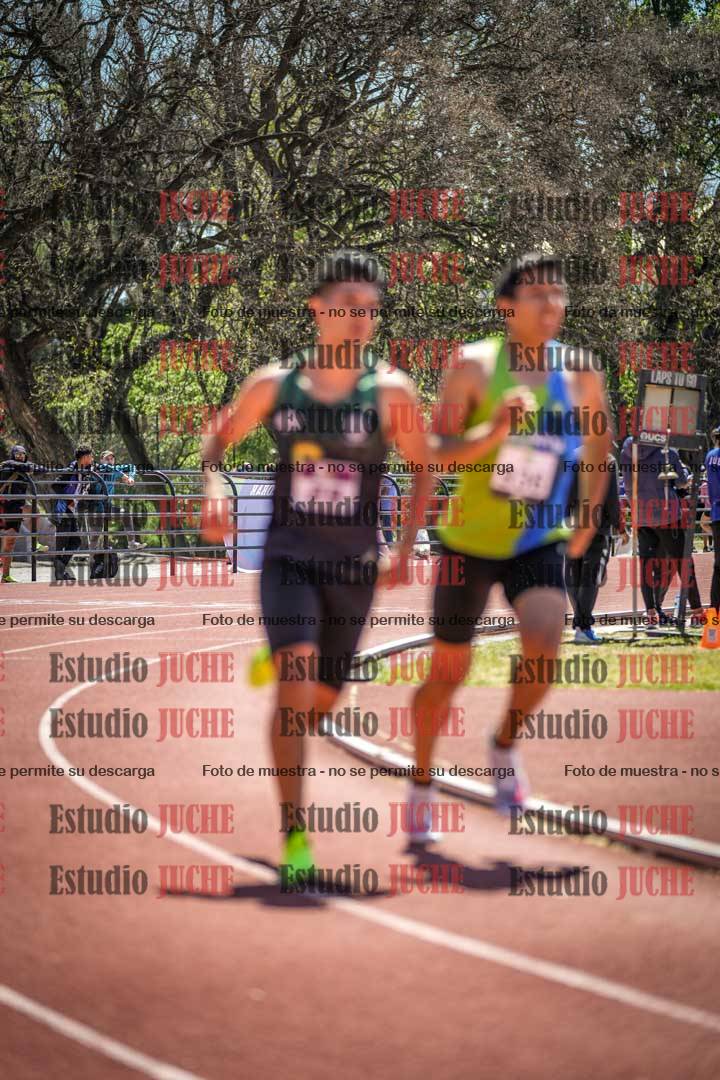 Fotos de los 800 m llanos de varones
