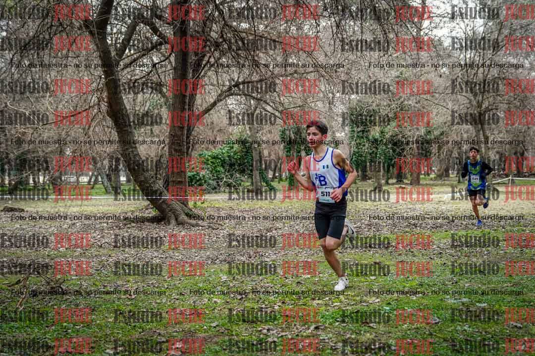 Fotos en el circuito