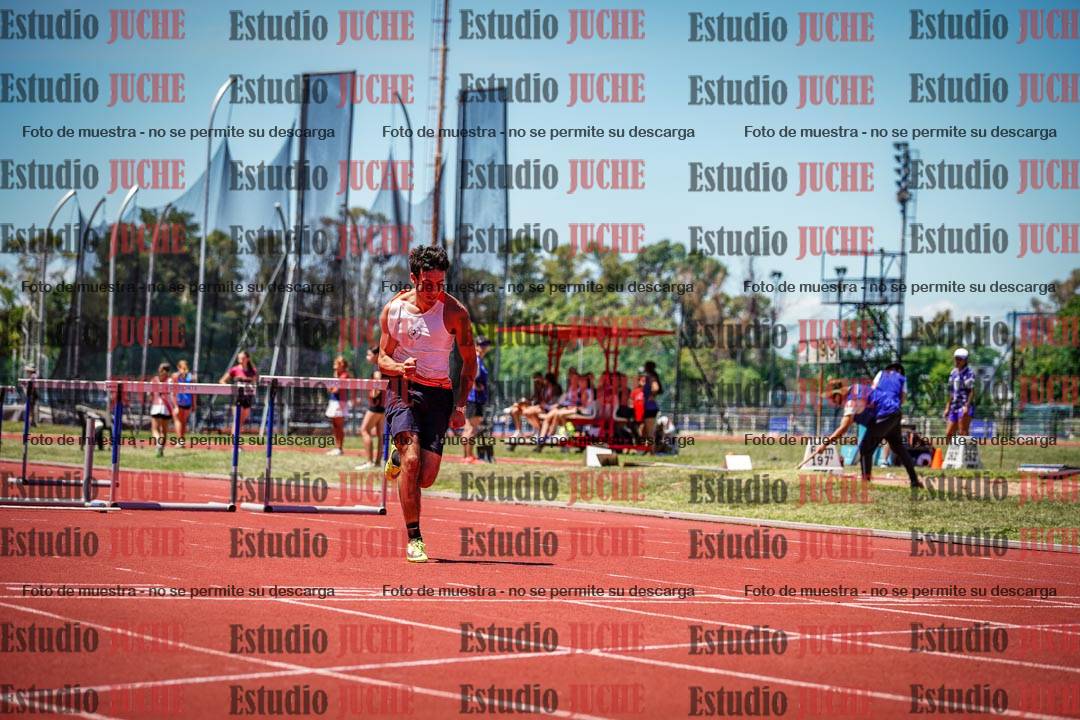 Fotos de los 110 m con vallas de varones