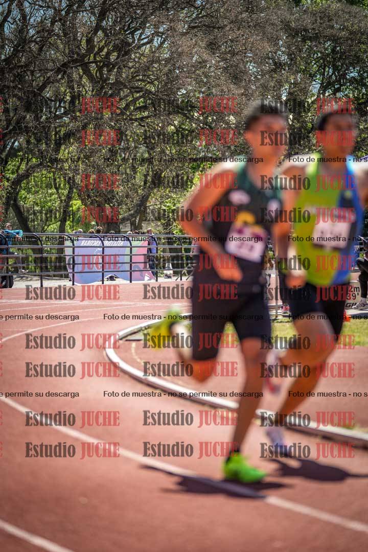 Fotos de los 800 m llanos de varones