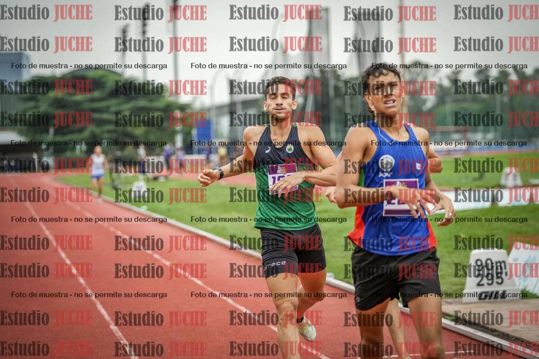 Fotos de los 800 m llanos de varones