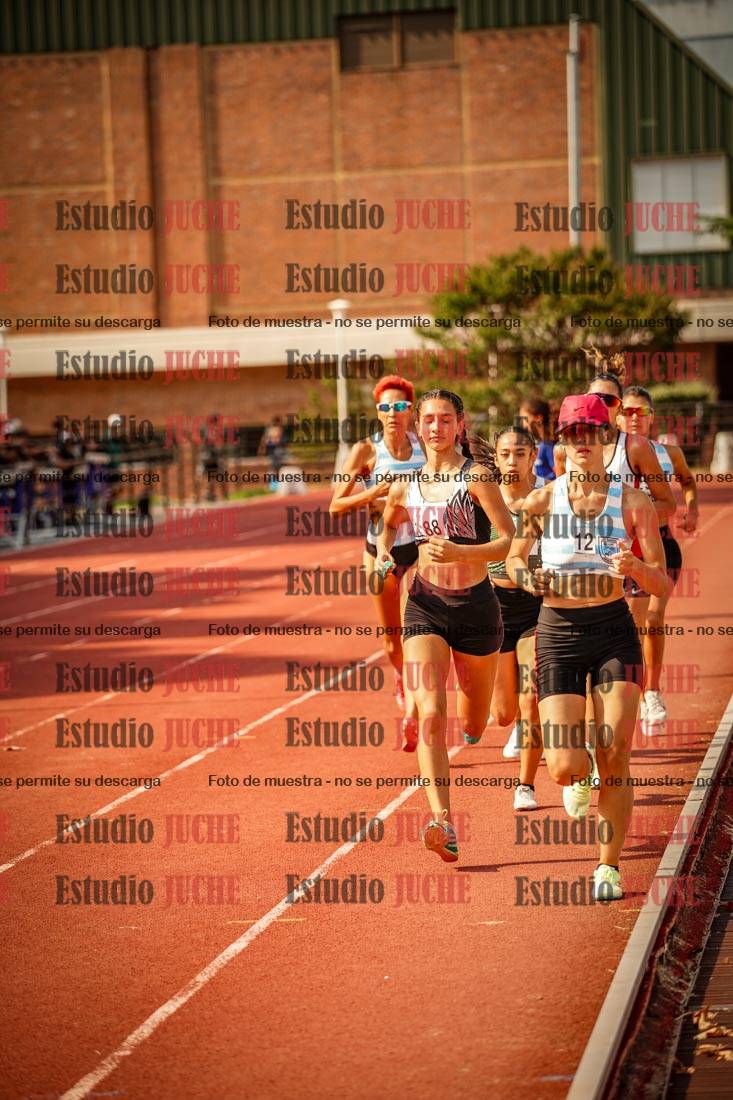 Fotos de los 1500 m llanos de mujeres
