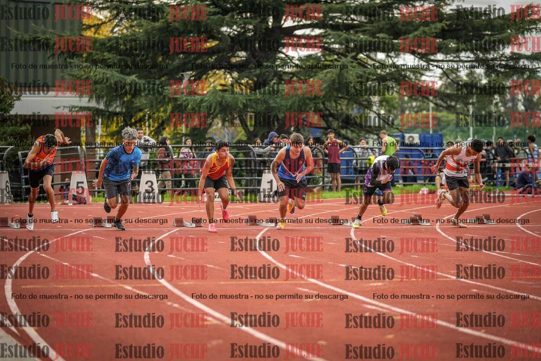 Fotos de los 100 m llanos de varones