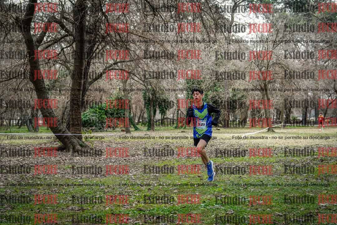 Fotos en el circuito