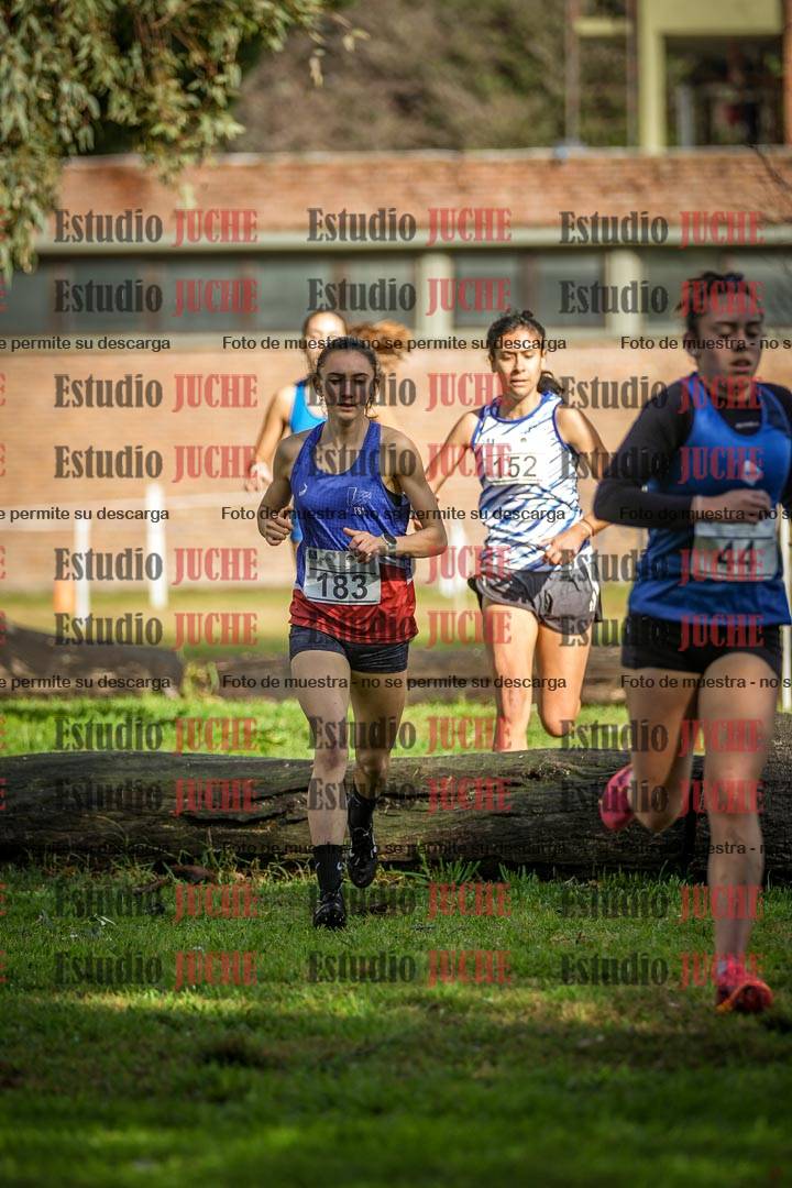 Fotos en el circuito