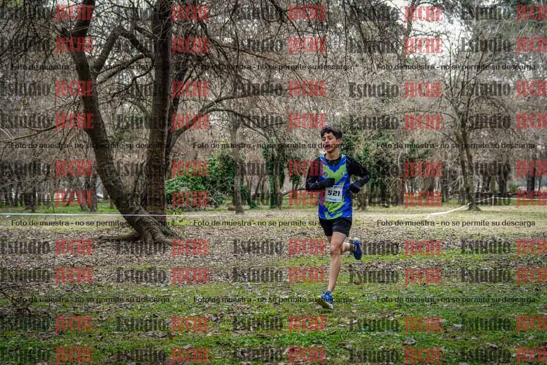 Fotos en el circuito