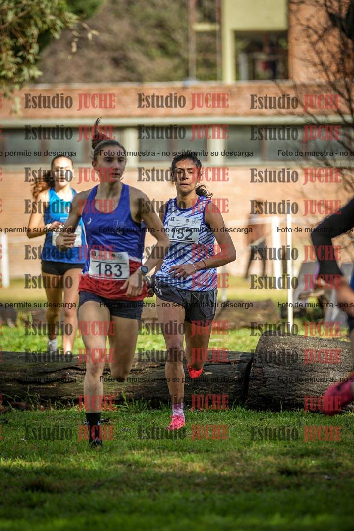 Fotos en el circuito
