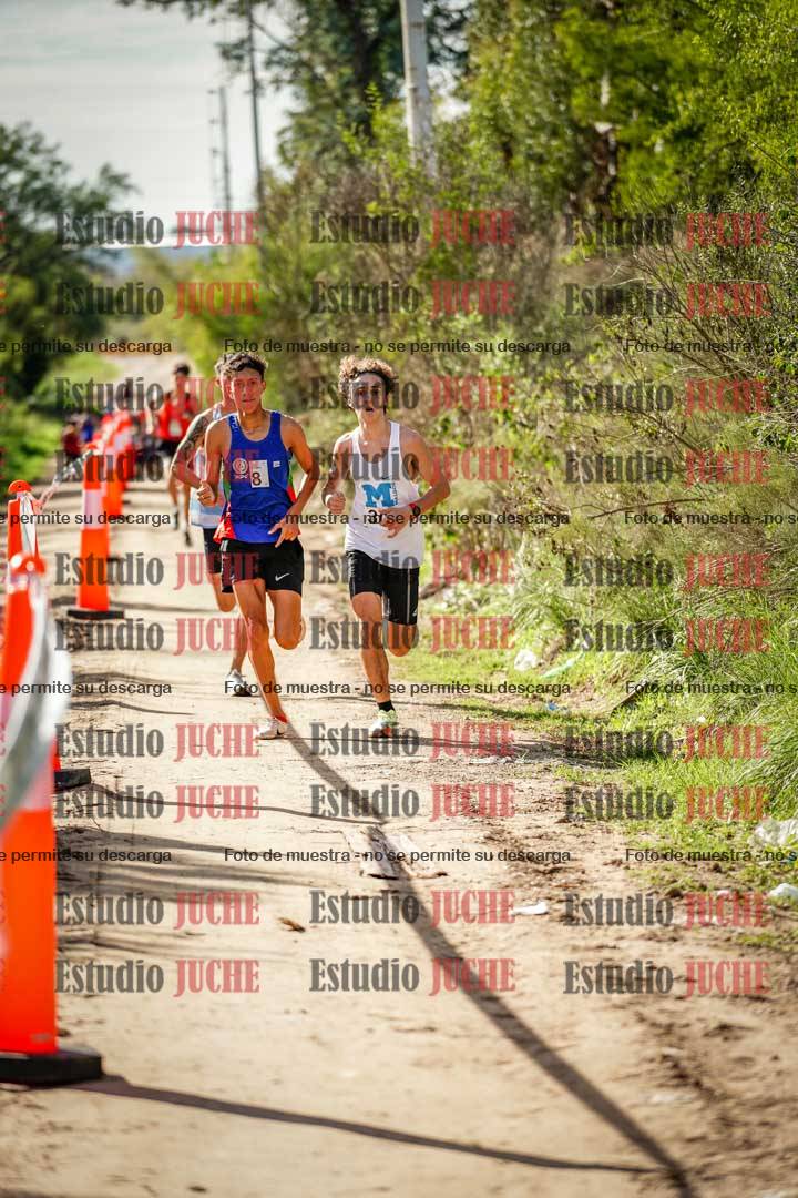 Fotos en el circuito