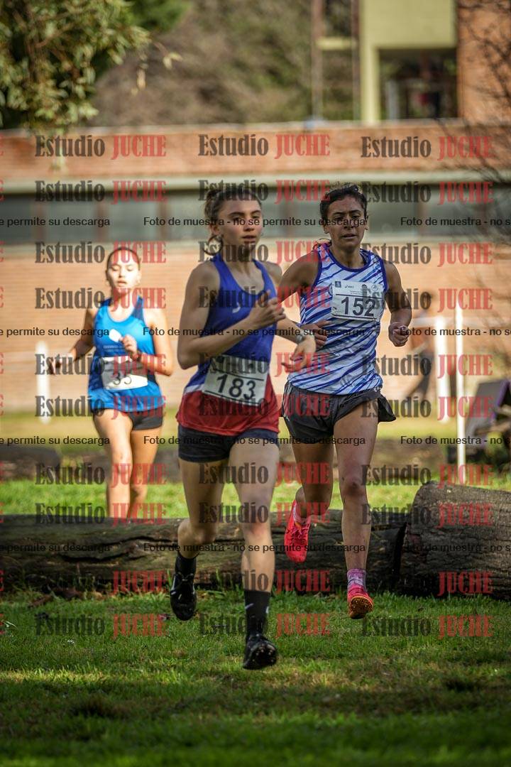 Fotos en el circuito